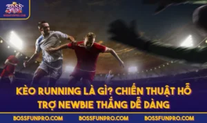 Kèo Running Là Gì? Chiến Thuật Hỗ Trợ Newbie Thắng Dễ Dàng