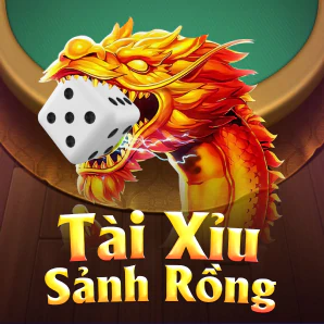 Trang chủ 362
